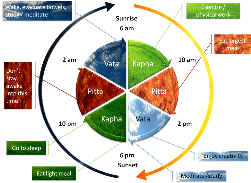 Daily-dosha-timings-and-actions-1024x749